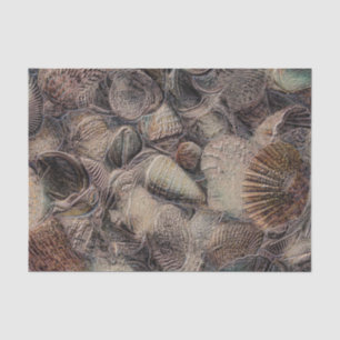 Papier Mousseline Coquilles marines métallisées vintage découpage de