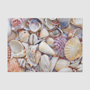 Papier Mousseline Coquilles marines Plage océan Aquarelle Découpage