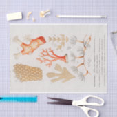 Papier Mousseline corail côtier aquarelle (Artisanat)