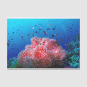 Papier Mousseline Corail rougeoyant rose d'anémone de vie marine