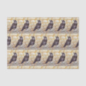 Papier Mousseline Corbeau (Recto)