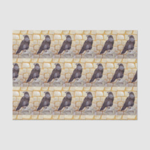 Papier Mousseline Corbeau