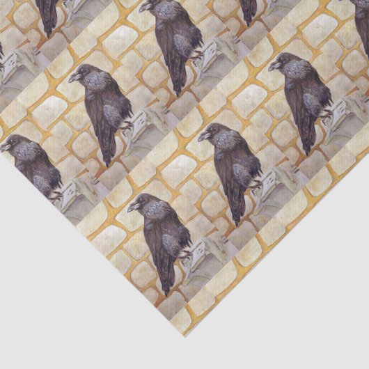 Papier Mousseline Corbeau (Détail)
