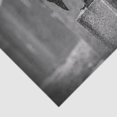 Papier Mousseline Corneille de cimetière de Falln (Détail)