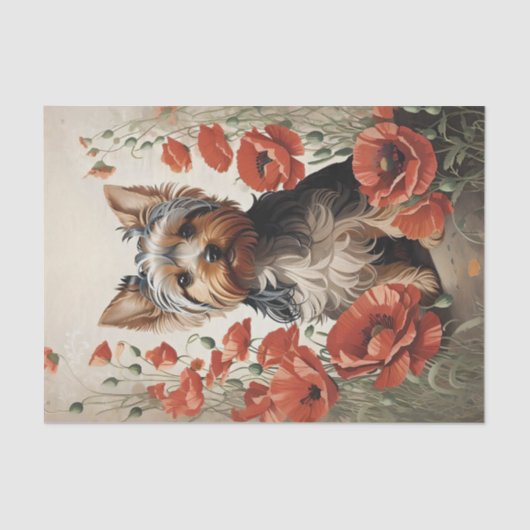 Papier Mousseline Corte Yorkshire Terrier Botanique Poppies rouges (Recto)