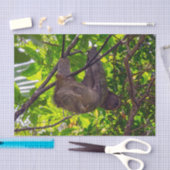 Papier Mousseline Costa Rica - Happy Lazy Sloth, Antonio Manuel NP (Artisanat)