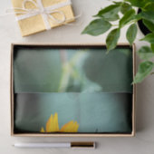 Papier Mousseline Costa Rica  - Zebra Longwing Butterfly (Cadeau)