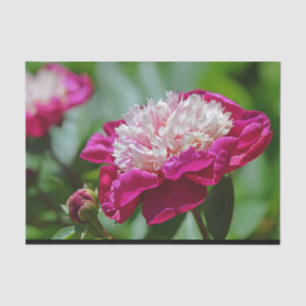 Papier Mousseline Cottage rose Peony Garden Flower