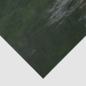 Papier Mousseline Coucher de soleil à moitié dôme dans le parc natio (Détail)