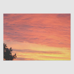 Papier Mousseline Coucher de soleil clair et nuageux orange,