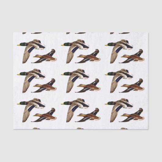 Papier Mousseline Couleur de l'Arrière - plan de la sélection U de M (Recto)