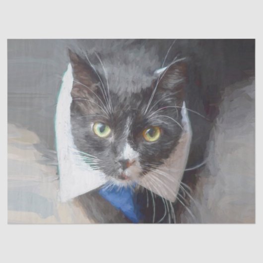 Papier Mousseline Couleur noir et blanc (Recto)