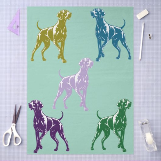 Papier Mousseline Couleur Weimaraner  (Artisanat)