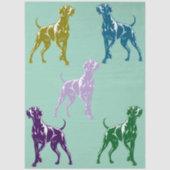 Papier Mousseline Couleur Weimaraner  (Recto)