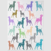 Papier Mousseline Couleur Weimaraner  (Recto)