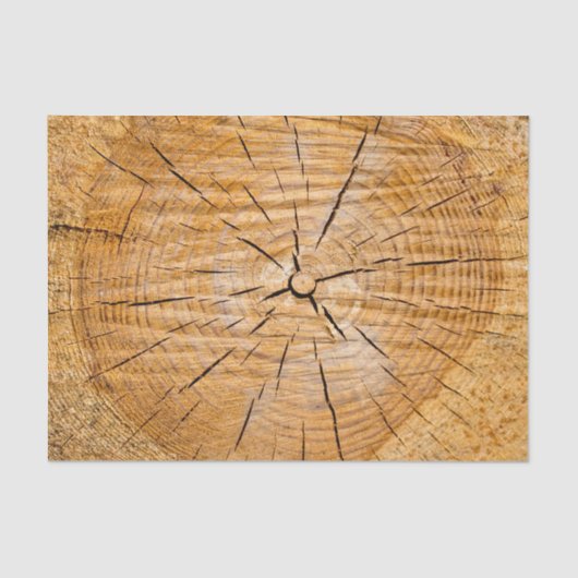 Papier Mousseline Coupe de vie (Recto)