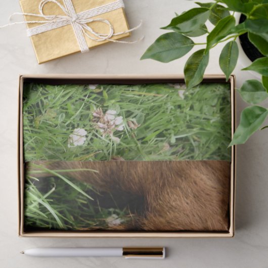 PAPIER MOUSSELINE COUPER (Cadeau)