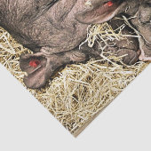 PAPIER MOUSSELINE COUPER LES COCHONS DE SOMMEIL (Détail)