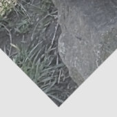 PAPIER MOUSSELINE COUPER OTTER (Détail)