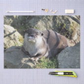 PAPIER MOUSSELINE COUPER OTTER (Artisanat)