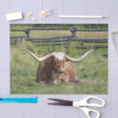 Papier Mousseline Cow Texas Longhorn Photo (Artisanat)