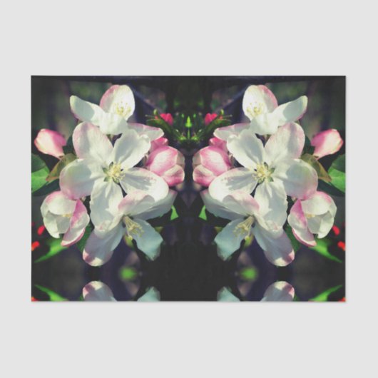 Papier Mousseline Crabapper Flore de printemps Découpage (Recto)