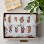 Papier Mousseline Crabes et vaches de crabe vintages (Cadeau)