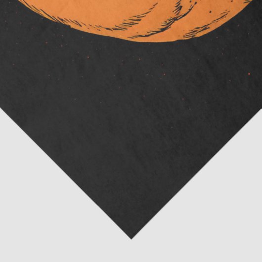 Papier Mousseline Crâne à égratignure avec un crayon d'araignée en h (Détail)