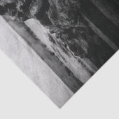 Papier Mousseline Crâne des ailes de pierre (Détail)