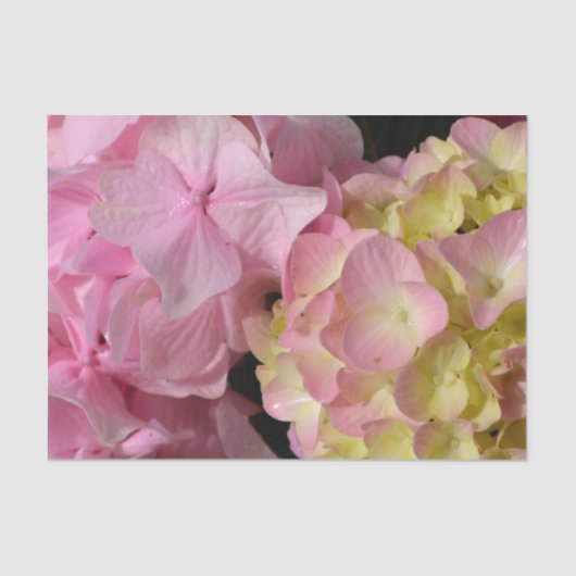 Papier Mousseline Crème rose Hydrangeas jaune rose vert floral (Recto)