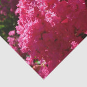 Papier Mousseline Crepe Myrtle Tree Magenta Floral (Détail)