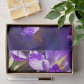 PAPIER MOUSSELINE CROCUS DE PRINTEMPS (Cadeau)