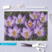 Papier Mousseline Crocus violets ensoleillés (Artisanat)