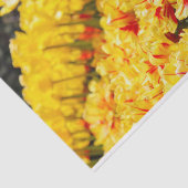 Papier Mousseline Croissance en or (Détail)