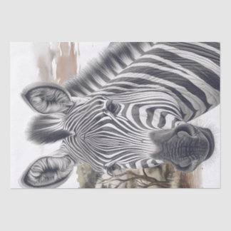 Papier Mousseline Croquis au crayon Zèbre africain