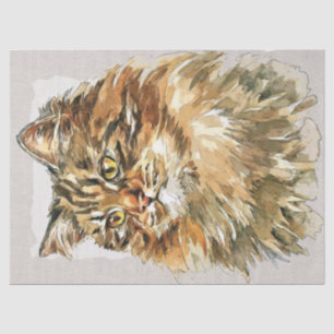 Papier Mousseline Croquis d'aquarelle de la race de chats de Sibérie