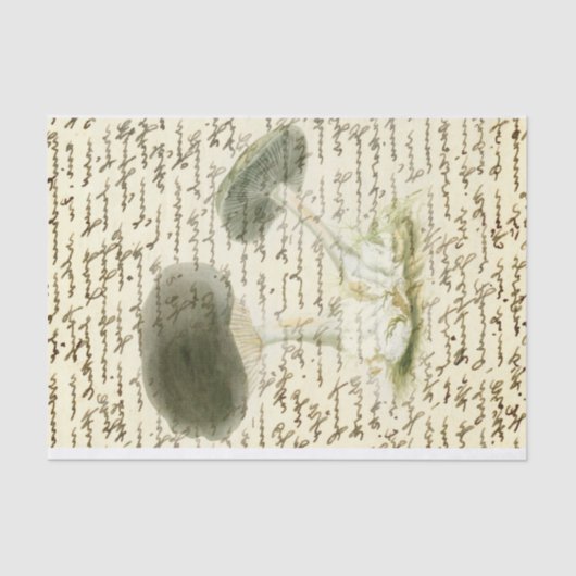 Papier Mousseline Croquis de champignon texte défondu boho en détres (Recto)
