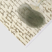 Papier Mousseline Croquis de champignon texte défondu boho en détres (Détail)