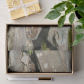 Papier Mousseline Crotale dans le parc national de Shenandoah (Cadeau)