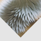 Papier Mousseline Cunning Fennec Fox, (Détail)