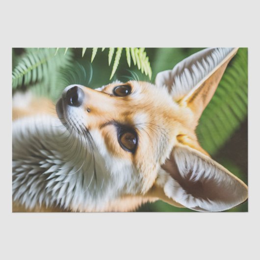 Papier Mousseline Cunning Fennec Fox, (Recto)