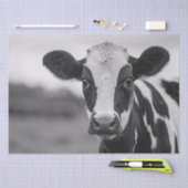 Papier Mousseline Curieux Holstein Vache Découpage noir et blanc (Artisanat)