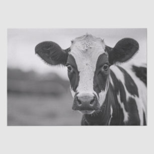 Papier Mousseline Curieux Holstein Vache Découpage noir et blanc