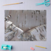 Papier Mousseline Curly Birch Bark Tree Rustic (Artisanat)