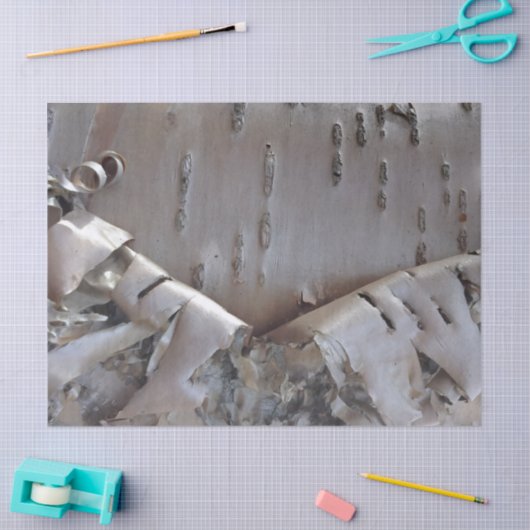 Papier Mousseline Curly Birch Bark Tree Rustic (Artisanat)