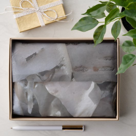 Papier Mousseline Curly Birch Bark Tree Rustic (Cadeau)