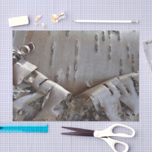 Papier Mousseline Curly Birch Bark Tree Rustic (Artisanat)