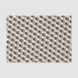 Papier Mousseline Curry Chèvre Riz et pois Jamaïcain Caraïbes Nourri