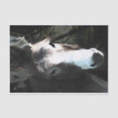 PAPIER MOUSSELINE CUTE DONKEY (Recto)