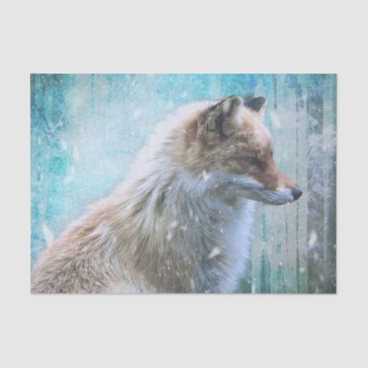 Papier Mousseline Cute Furry Fox sur Blue Grunge Arrière - plan (Recto)